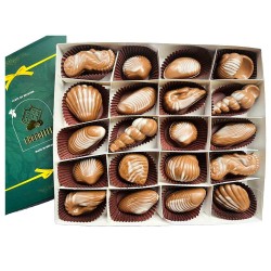 Seashells Belgian Chocolates Box - (20 pcs) Seashells Belgian Chocolates Box - (20 pcs)