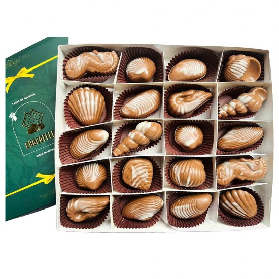 Seashells Belgian Chocolates Box - (20 pcs)