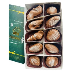Seashells Belgian Chocolates Box - (10 pcs) Seashells Belgian Chocolates Box - (10 pcs)