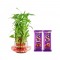 3 Layers Lucky Bamboo Plant with Chocolates