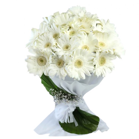 Serene White Gerbera Bouquet