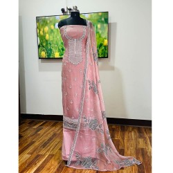 Baby Pink Pakistani Organza Kurta 