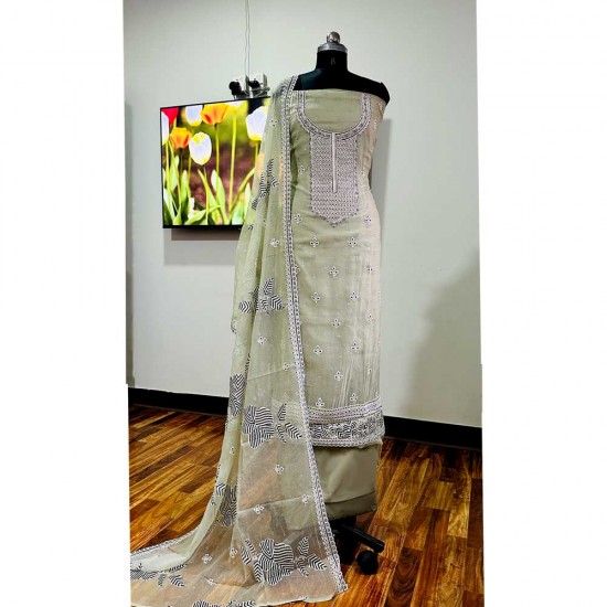 Pista Green Pakistani Organza SIlk Kurta