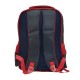 Red and Blue Spiderman Printed School Bag