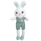 35 cm Cute Rabbit Plush Toy 