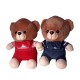 Little Brown Teddy Bears- 20 cm
