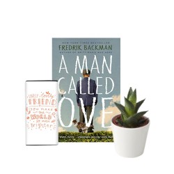 Bookworm's Delight Bookworm's Delight