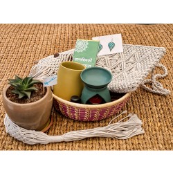 Luxury Gift Basket for HER Luxury Gift Basket for HER