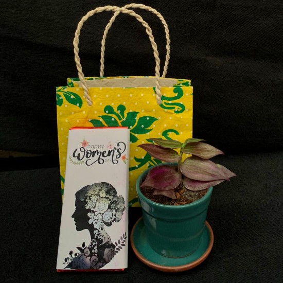 Plant Lover Gift