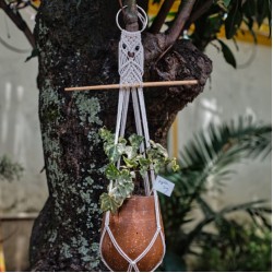 Knotted Macrame Plant Hanger