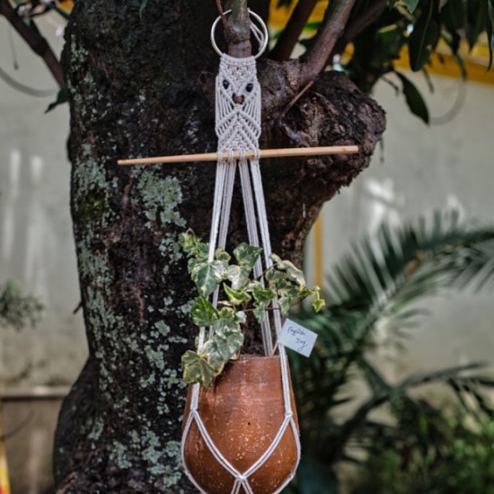 Knotted Macrame Plant Hanger