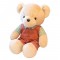 63 cm Couple Teddy Bears